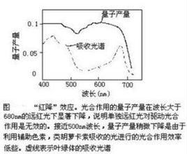 紅降現象