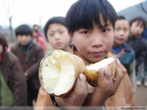 孩子們的午餐