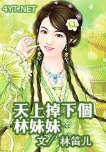 小說天上掉下個林妹妹