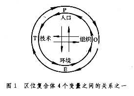 區位複合體