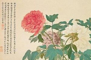 《清惲壽平畫花卉圖》