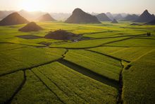 雲南產地實景