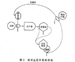 海洋生態