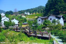 橋溪村[廣東省梅州市梅縣區雁洋鎮下轄村]