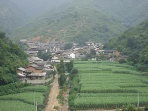 羊毛沖村[雲南省玉溪市峨山縣化念鎮下轄村]