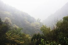 鳳鳴山全景