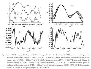 膠原蛋白紅外光譜