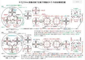 β+衰變(下半圖)及β-衰變(上半圖)-模型圖