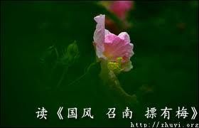 《國風·召南·摽有梅》