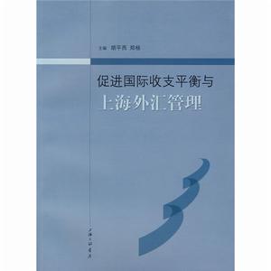 促進國際收支平衡與上海外匯管理