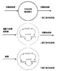 工業體系