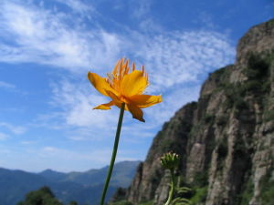 東靈山風光