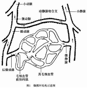 產科休克