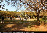 大竹東湖公園