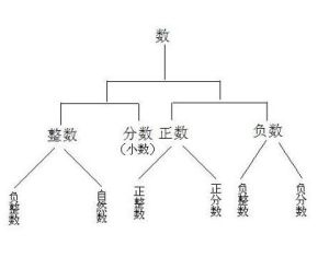 整數[數學名稱]