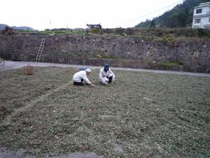 金秀瑤族自治縣瑤山源養生堂有限公司