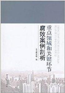 重點領域和關鍵環節腐敗典型案例剖析