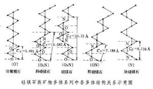 多體性