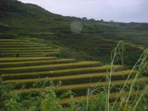 班東村