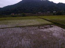 陽頤堂：田園陌仟