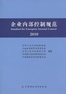 2010企業內部控制規範