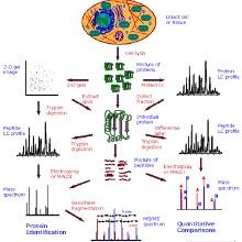 生物化學與分子生物學專業