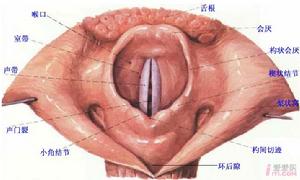 喉粘液囊腫