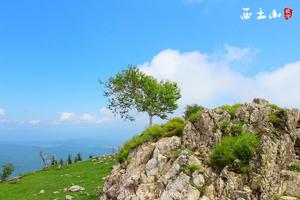 西土山.夏天藍