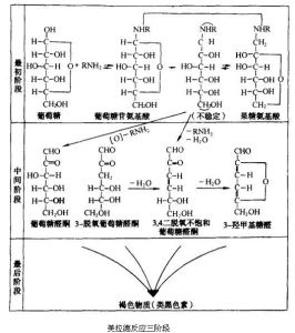 焦糖反應