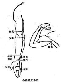 青靈泉穴