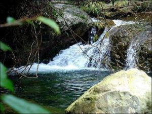 靈龍峽大拐彎生態旅遊區