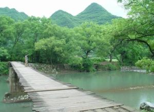 太子山國家森林公園