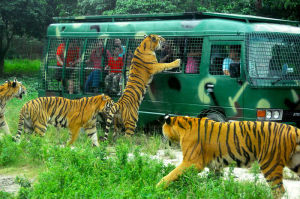 深圳市野生動物園