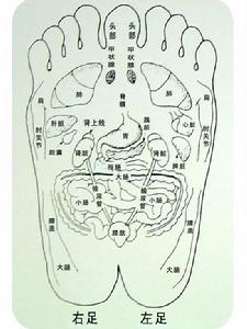 熱入心包陽明腑實證