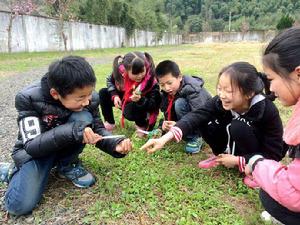 王壇鎮青陶國小