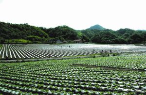 生態產業