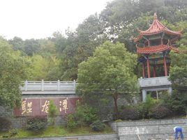 象山鯉龍潭森林公園