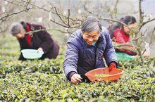 三合鎮[重慶市璧山區三合鎮]