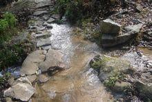 大山自然村[雲南臨滄鳳慶縣大寺鄉路山村委會大山自然村]