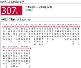 滄州公交307路