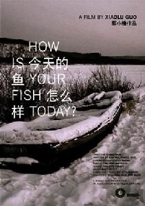 《今天的魚怎么樣》