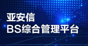 深圳市亞安信實業有限公司