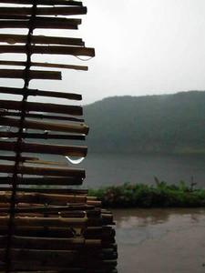 （圖）雨島效應