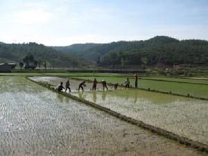 生產勞動場景