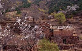 三畝地寫生基地