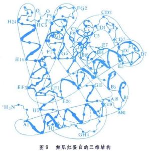 蛋白質晶體化學