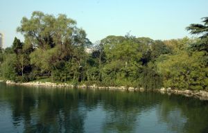 雲龍山森林公園