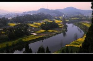 飛龍山森林公園