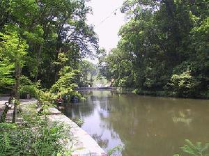 三元格氏栲森林公園