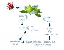 植物殺菌